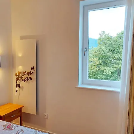 Apartment Alpenflair - Charming Ski-to-door